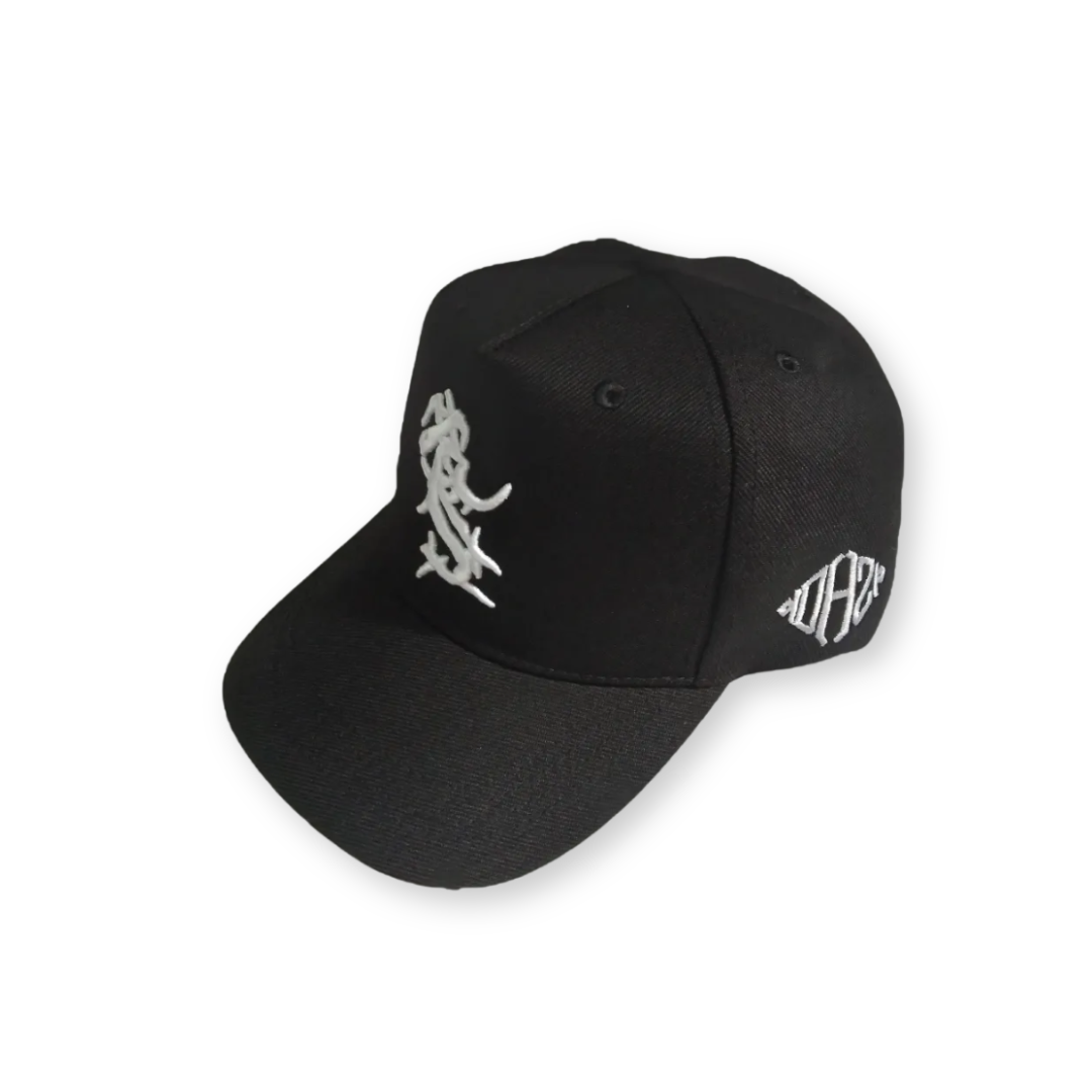 Gorra Chris Brown Kthla