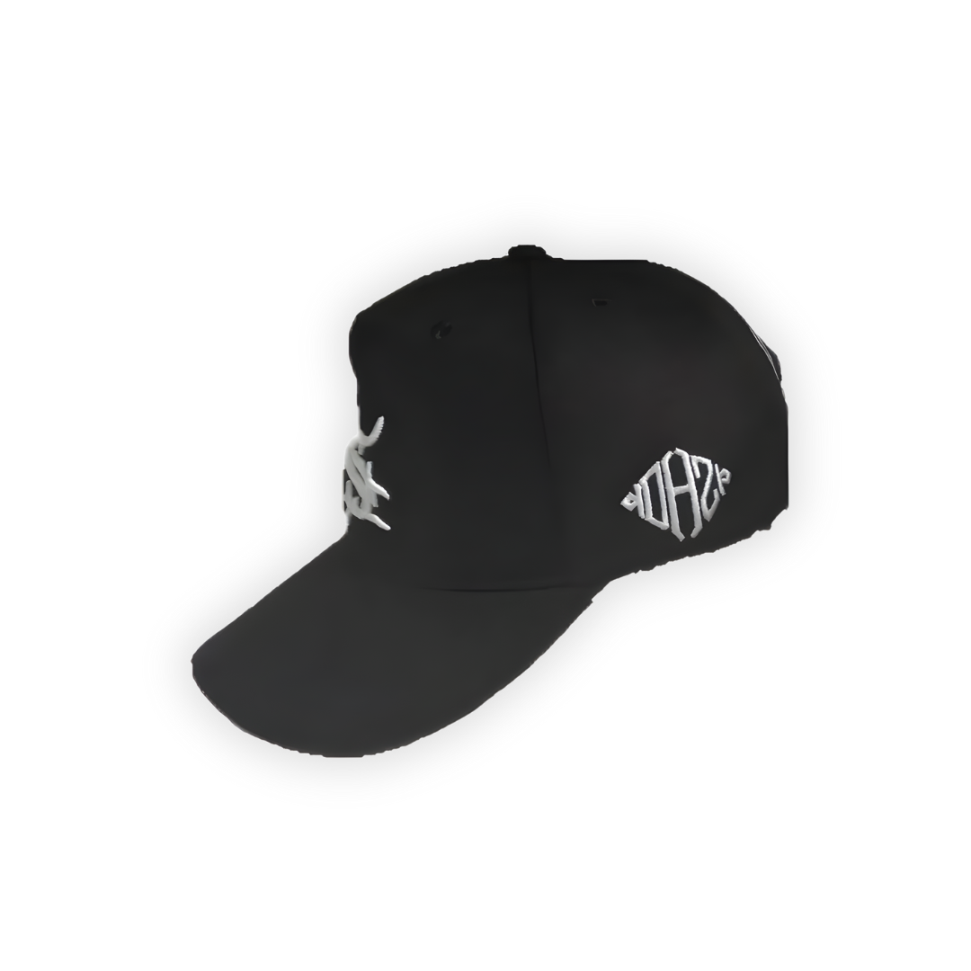 Gorra Chris Brown Kthla