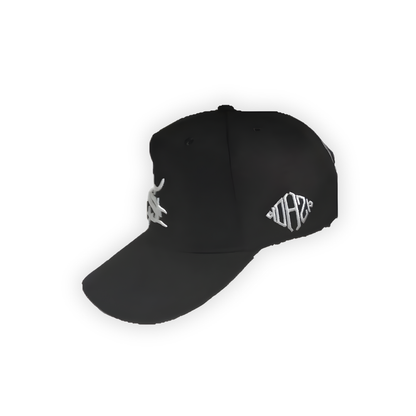 Gorra Chris Brown Kthla